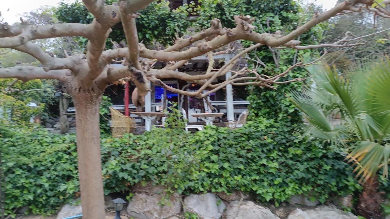Mare Maravella Costa Brava Nature Tordera Kültér fotó